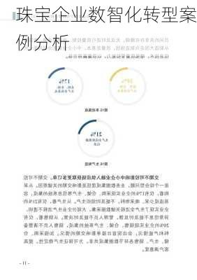 珠宝企业数智化转型案例分析