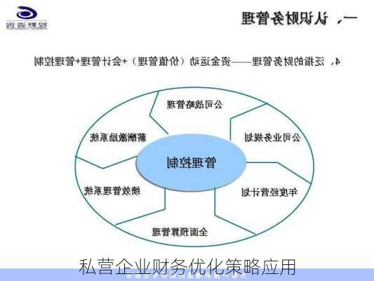 私营企业财务优化策略应用