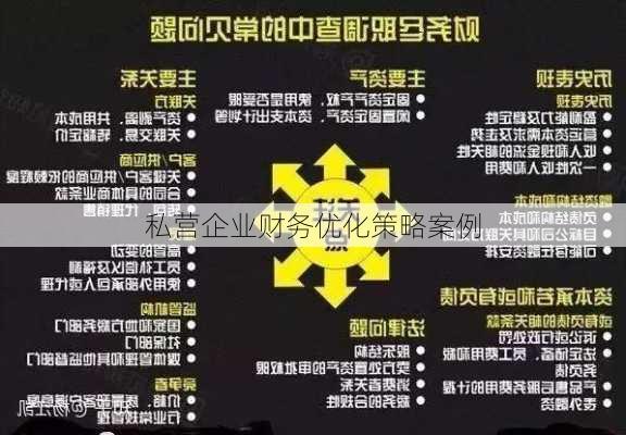 私营企业财务优化策略案例
