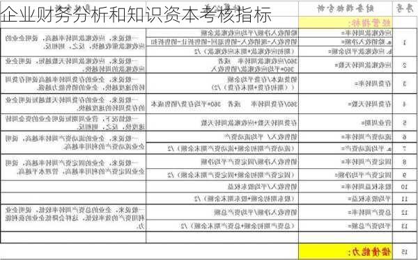 企业财务分析和知识资本考核指标