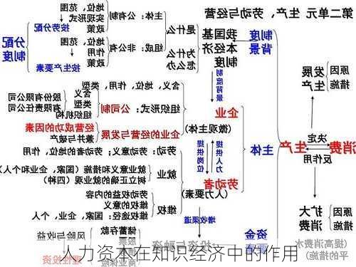 人力资本在知识经济中的作用