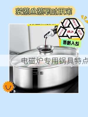 电磁炉专用锅具特点