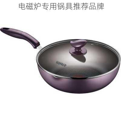 电磁炉专用锅具推荐品牌
