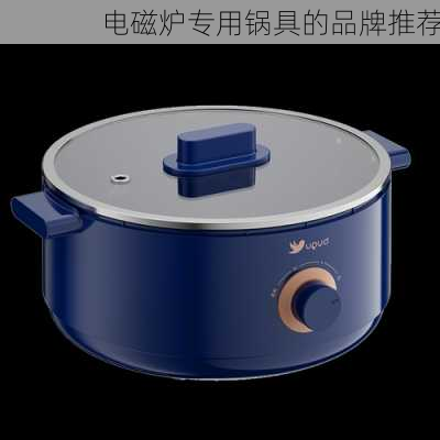 电磁炉专用锅具的品牌推荐