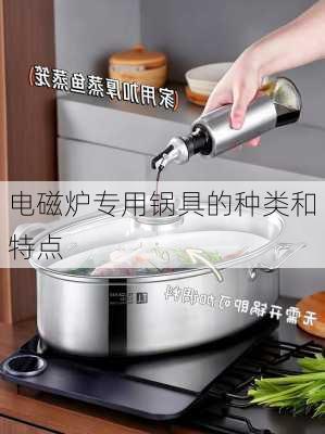 电磁炉专用锅具的种类和特点