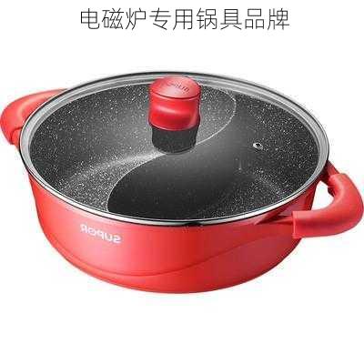 电磁炉专用锅具品牌