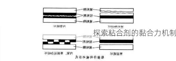 探索粘合剂的黏合力机制