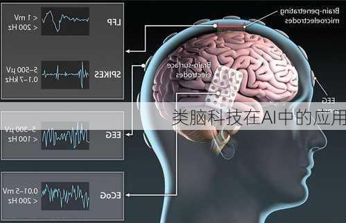 类脑科技在AI中的应用