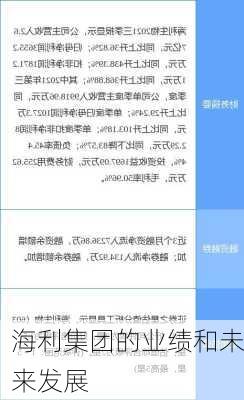 海利集团的业绩和未来发展