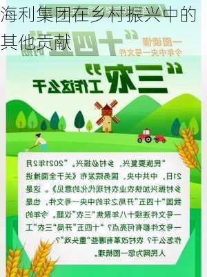 海利集团在乡村振兴中的其他贡献