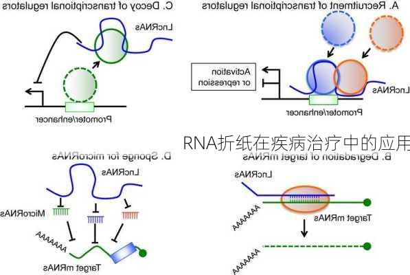 RNA折纸在疾病治疗中的应用