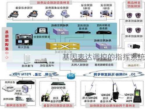基因表达调控的指挥系统