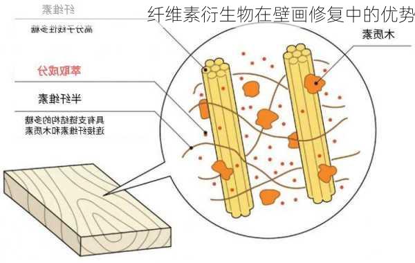 纤维素衍生物在壁画修复中的优势
