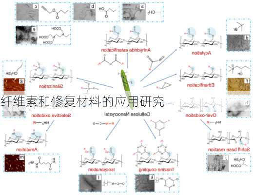 纤维素和修复材料的应用研究