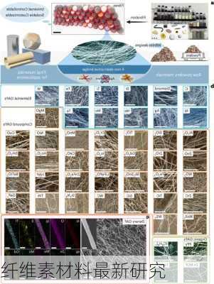 纤维素材料最新研究