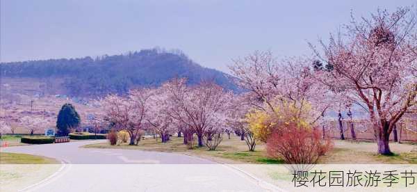 樱花园旅游季节