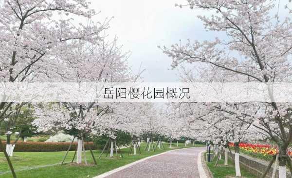 岳阳樱花园概况