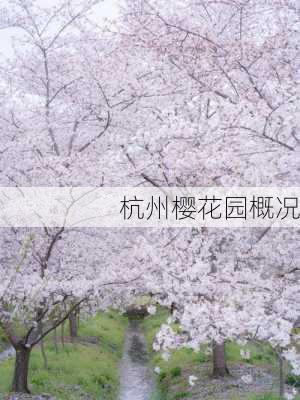 杭州樱花园概况