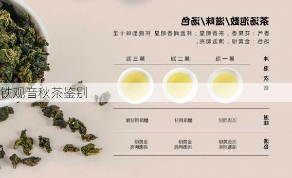 铁观音秋茶鉴别
