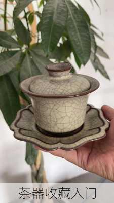 茶器收藏入门