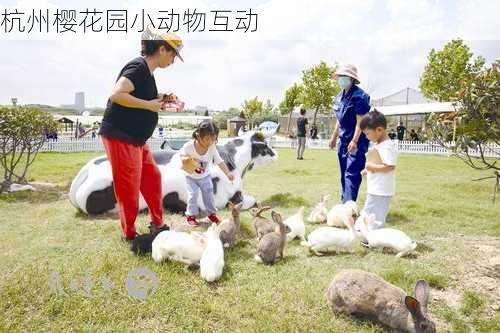 杭州樱花园小动物互动