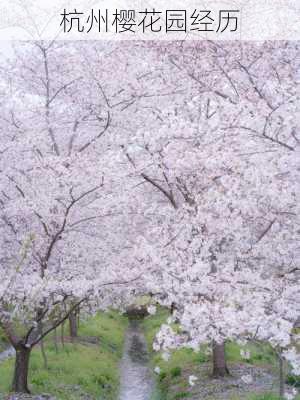 杭州樱花园经历