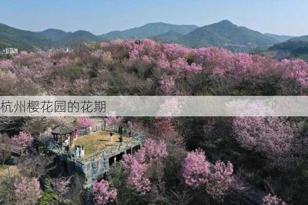 杭州樱花园的花期