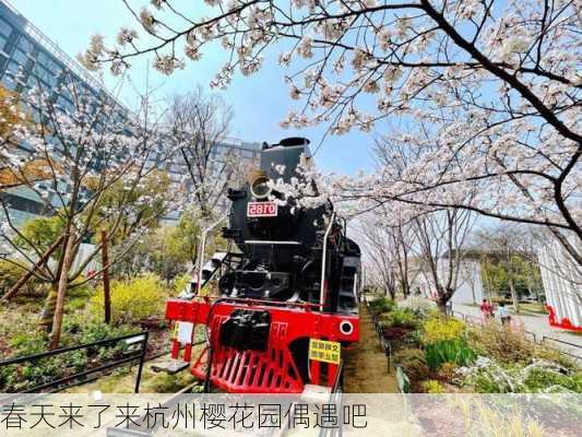 春天来了来杭州樱花园偶遇吧