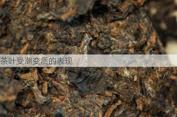 茶叶受潮变质的表现