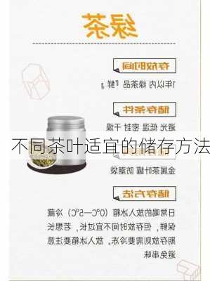 不同茶叶适宜的储存方法
