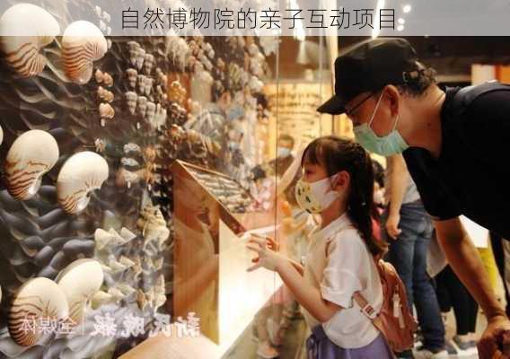 自然博物院的亲子互动项目