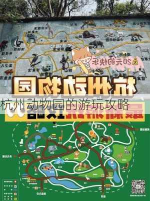 杭州动物园的游玩攻略