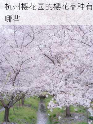 杭州樱花园的樱花品种有哪些