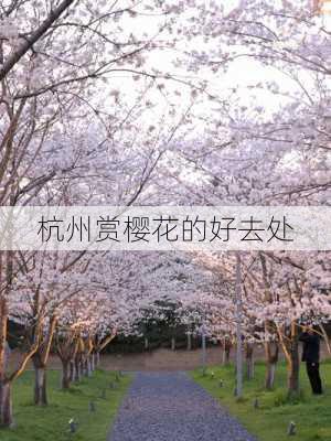 杭州赏樱花的好去处