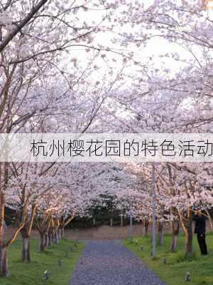 杭州樱花园的特色活动
