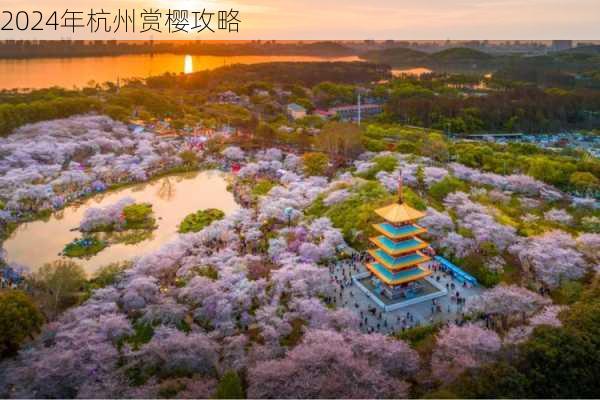 2024年杭州赏樱攻略