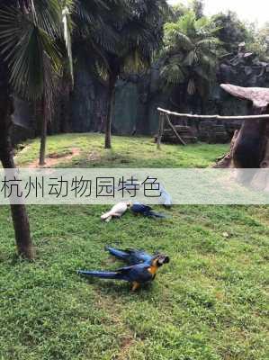 杭州动物园特色