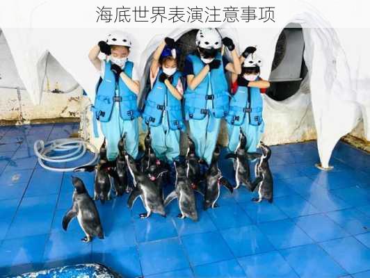 海底世界表演注意事项
