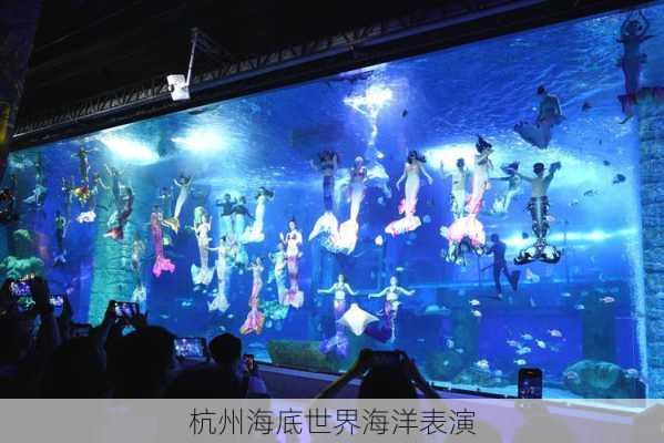 杭州海底世界海洋表演
