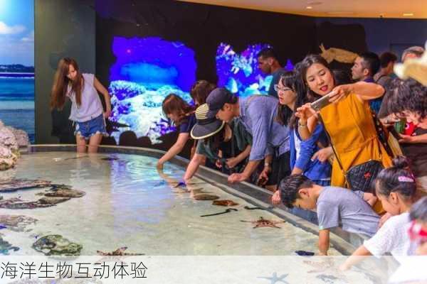 海洋生物互动体验