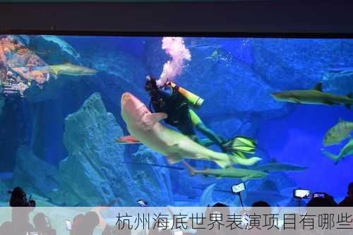 杭州海底世界表演项目有哪些