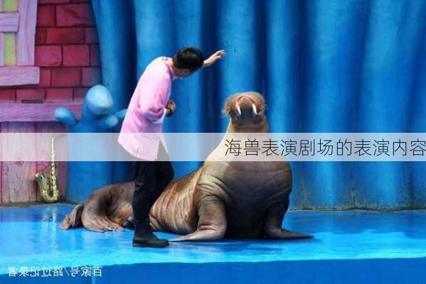 海兽表演剧场的表演内容