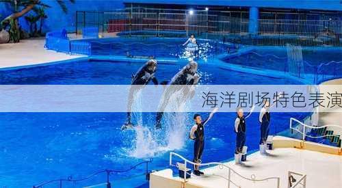 海洋剧场特色表演