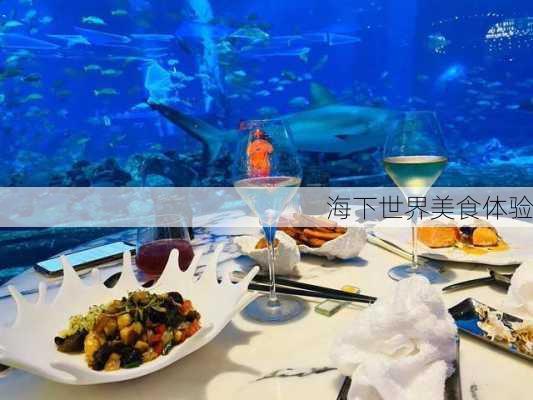 海下世界美食体验