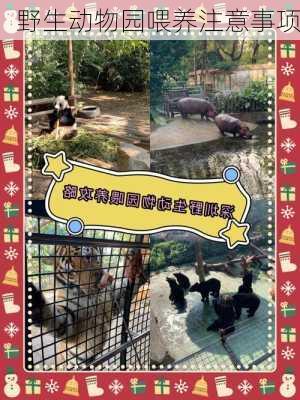 野生动物园喂养注意事项