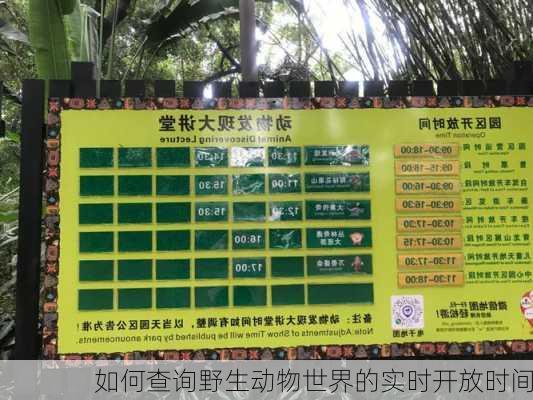 如何查询野生动物世界的实时开放时间