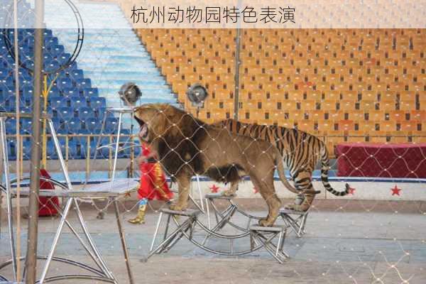 杭州动物园特色表演