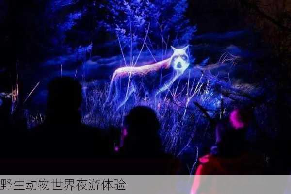 野生动物世界夜游体验