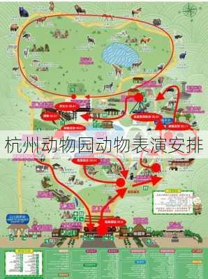 杭州动物园动物表演安排