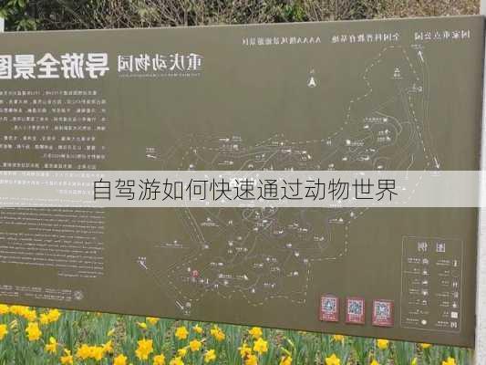 自驾游如何快速通过动物世界